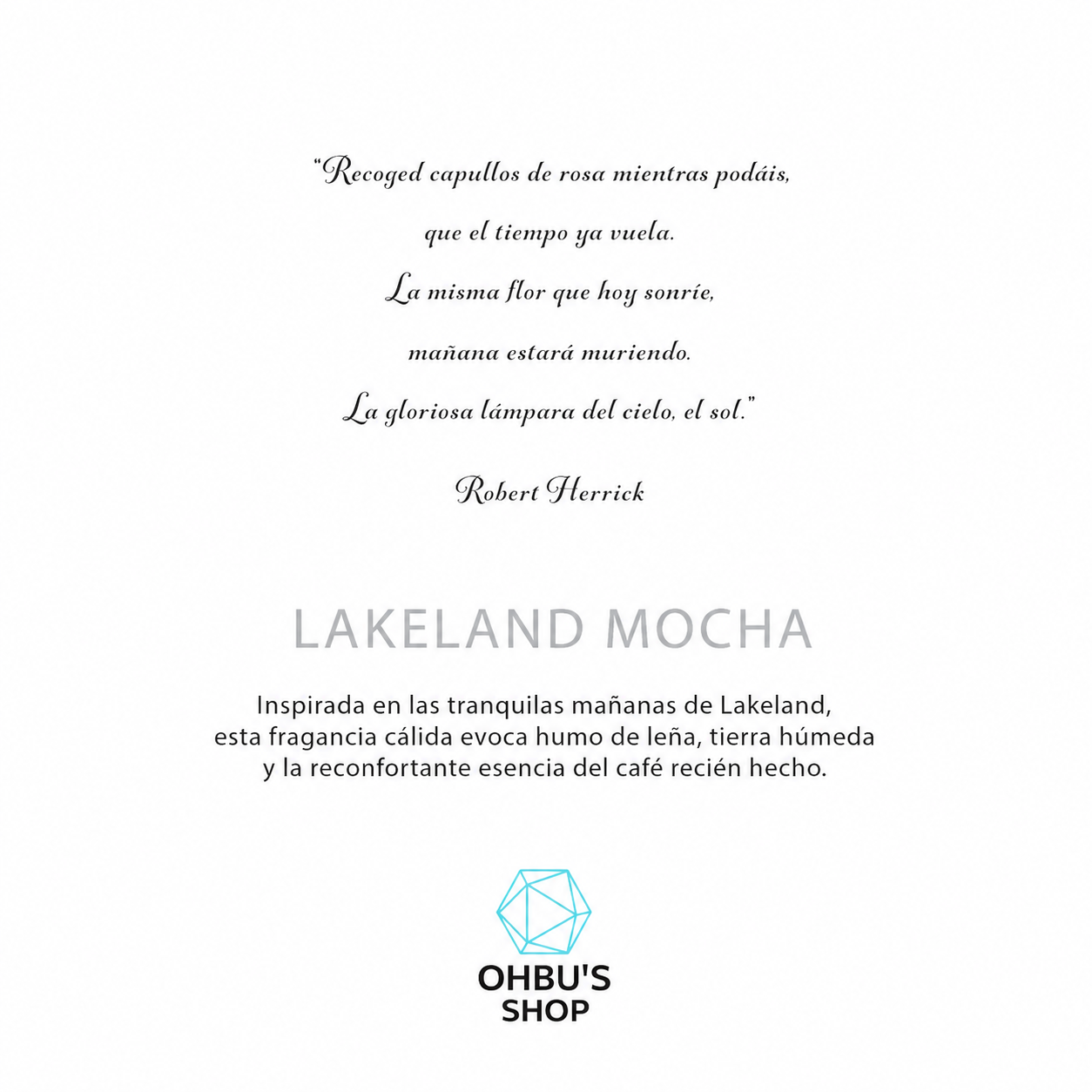 Vela de Soja Botánica Lakeland Mocha con Aroma a Café y Cacao