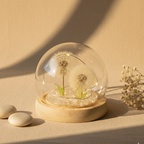 Domo de luz con dos dientes de león LED USB lámpara decorativa romántica