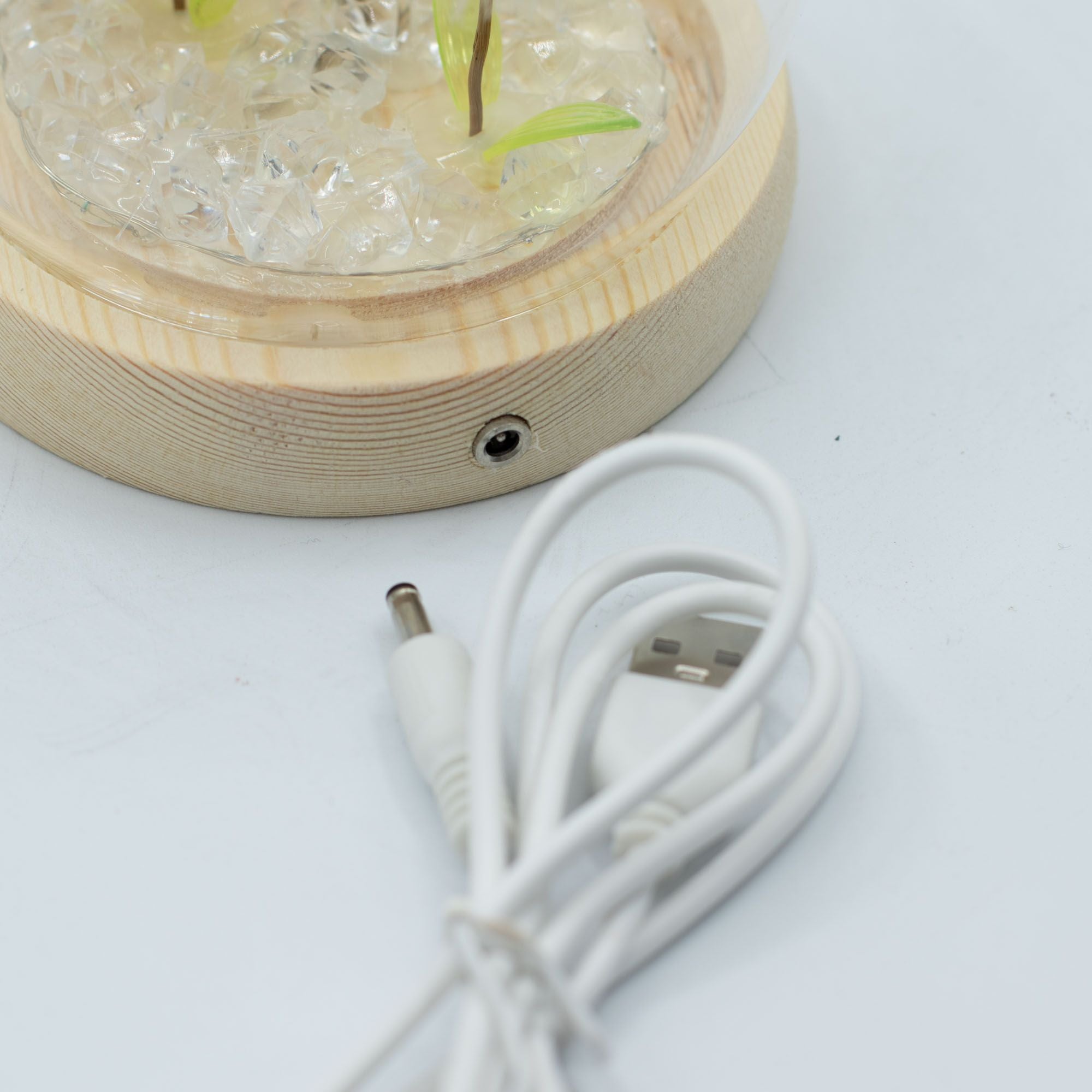 Domo de luz con dos dientes de león LED USB lámpara decorativa romántica